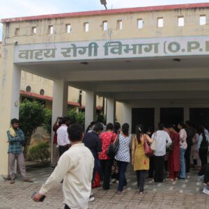 online internship for psychology students